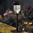 Avant Solar Light - 5 pk